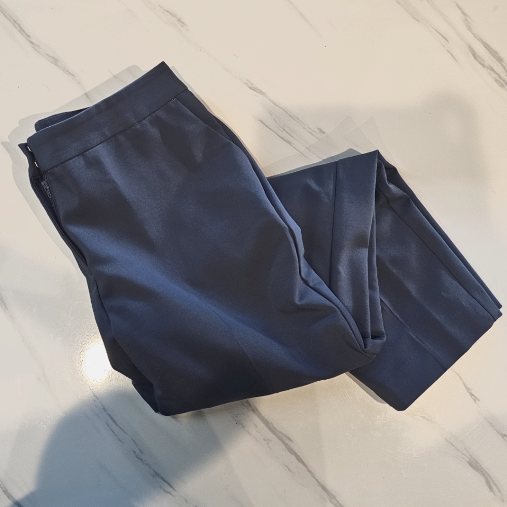 Size 14 Express Columnust Ankle Pants Blue
